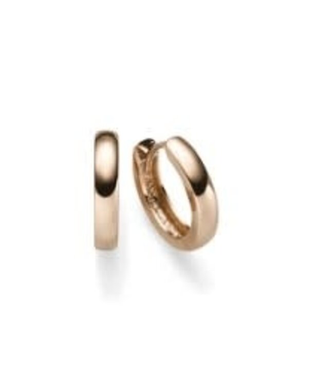 ROEMER Oorringen 14k roségoud 2.5mm