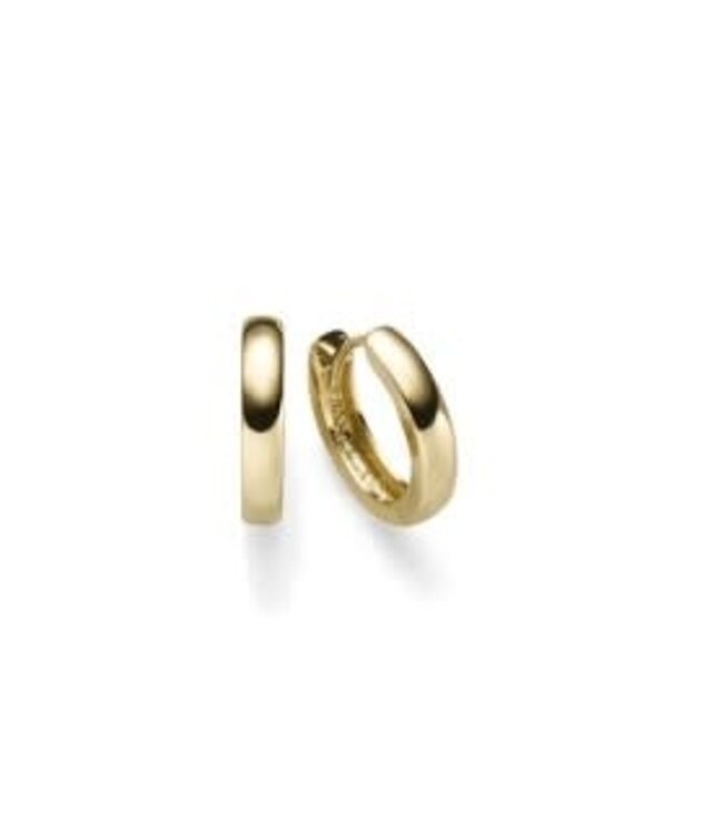 ROEMER Oorringen 14k geelgoud 2.5mm