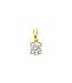 Tomylo Tomylo hanger goud 14k & labgrown diamant 0.50ct Si/GH