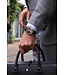 Montblanc horloge 1858 Geosphere MB128255