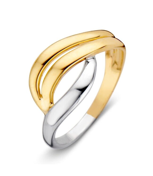 Excellent ring geel/witgoud 14k RC406276-56