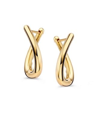 Excellent Jewelry Excellent oorringen goud 14k OM108004