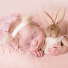 Cute Cute Cute Cute Haarbandje Teddy Ears Beige