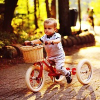 Trybike Wicker Basket