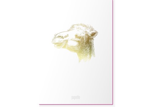 Papette Animal I Greetingcard I Camel