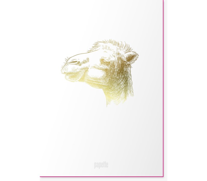 Animal I Greetingcard I Camel