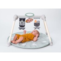 Taf Toys Urban Garden Foldable Baby Gym