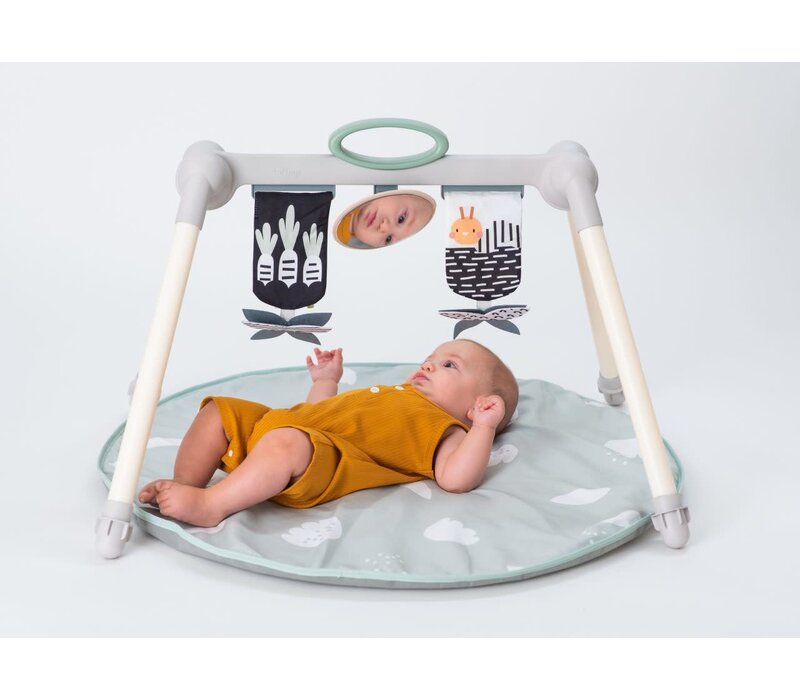 Taf Toys Urban Garden Foldable Baby Gym