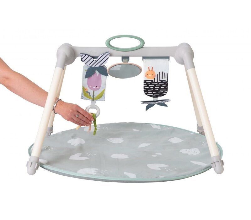 Taf Toys Urban Garden Foldable Baby Gym