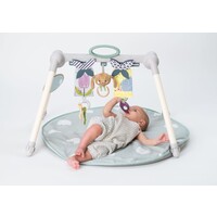 Taf Toys Urban Garden Foldable Baby Gym