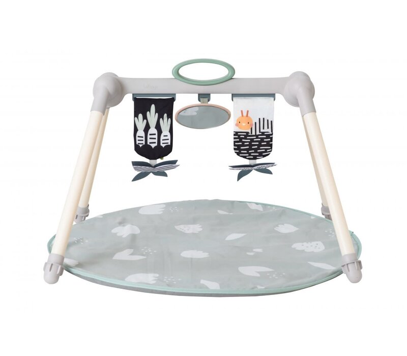 Taf Toys Urban Garden Foldable Baby Gym