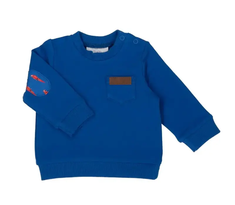 Natini Sweater Parrot Blue