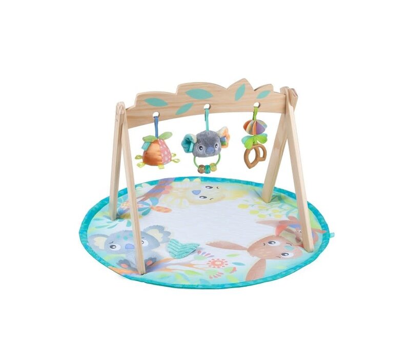 Copy of Playgro Clip Clop Musical Activity Gym