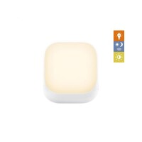 ZAZU - Socket Light - White