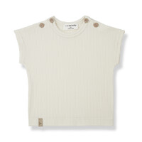 1+ In The Family Miles S.Sleeve T-Shirt Ivory 24s-021