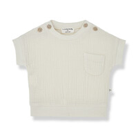 1+ In The Family Daniele S.Sleeve T-Shirt Ivory 24s-068