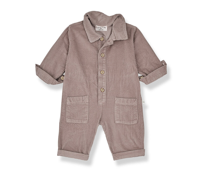 1+ In The Family Wim L. Sleeve Overall Mauve