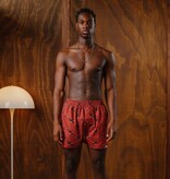 Pockies 2 Pack Swallow Boxers