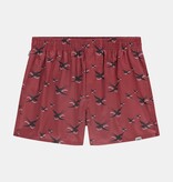 Pockies Pockies 2 Pack Swallow Boxers