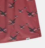 Pockies Pockies 2 Pack Swallow Boxers