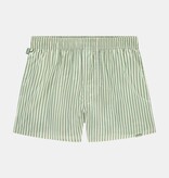 Pockies Pockies Striped Boxer Green