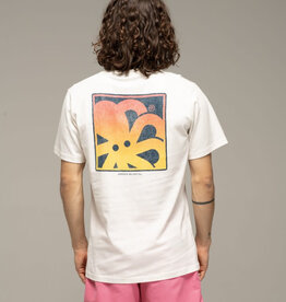 Jonsen Island Classic Echo Beach Tee Coconut