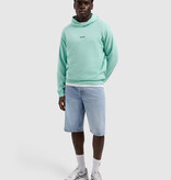 Pure Path 26010303 Bold Emblem Hoodie Mint