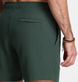 SHIWI Scott Stretch Swim Short Green Leaf