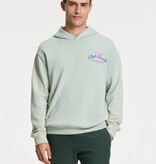 SHIWI Scott Stretch Swim Short Green Leaf