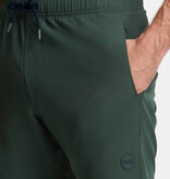 SHIWI Scott Stretch Swim Short Green Leaf