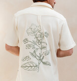 Kultivate Verdant Shirt Egret