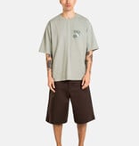 Reell Loose Flex Chino Short PC Chocolate Brown