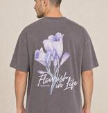 Kultivate Luxury Life Tee Dark Gull Grey