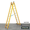 Staltor Kunststof glasvezel ladder GVK 2x12 sporten