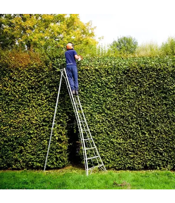 Vultur ladders Vultur 3-Holm-Gartenleiter 360 cm mit 1 Holm verstellbar