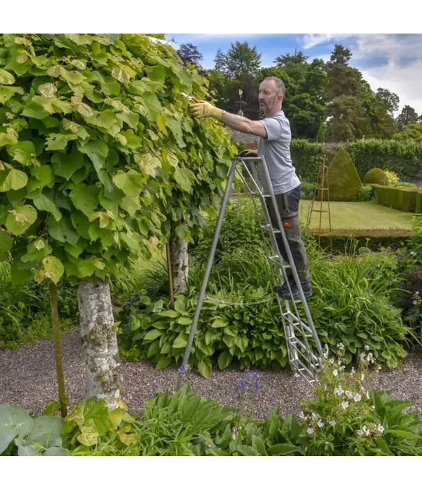 Vultur ladders Vultur tripod ladder 240 cm met 3 verstelbare poten