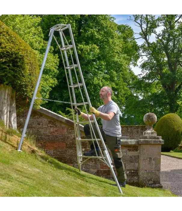 Hendon tripod ladders Vultur échelle tripode 300 cm avec 3 pieds réglables