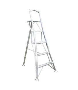 Échelle de jardin Vultur 180 cm avec plate-forme et 1 pied réglable