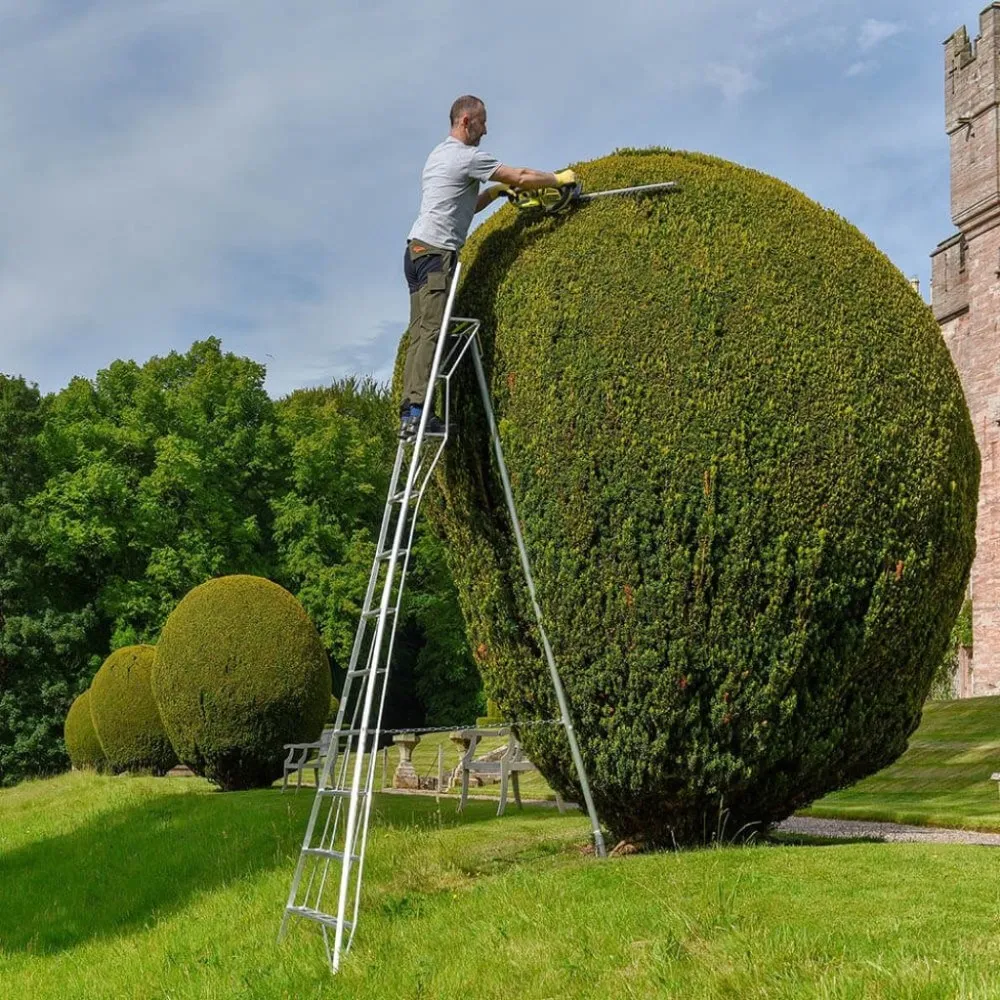 Hendon Vultur échelle de jardin 240 cm avec plate-forme et 1 pied réglable