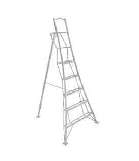 Échelle de jardin Vultur 240 cm avec plate-forme et 1 pied réglable