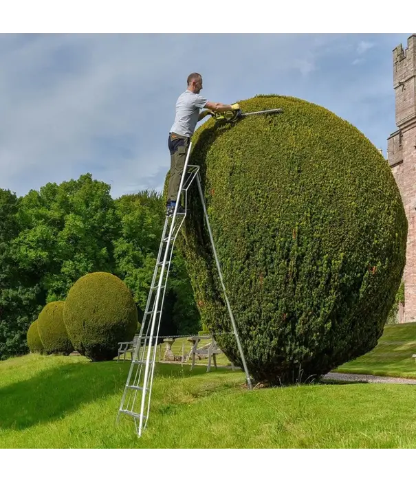 Vultur ladders Vultur échelle de jardin 300 cm avec plate-forme et 1 pied réglable