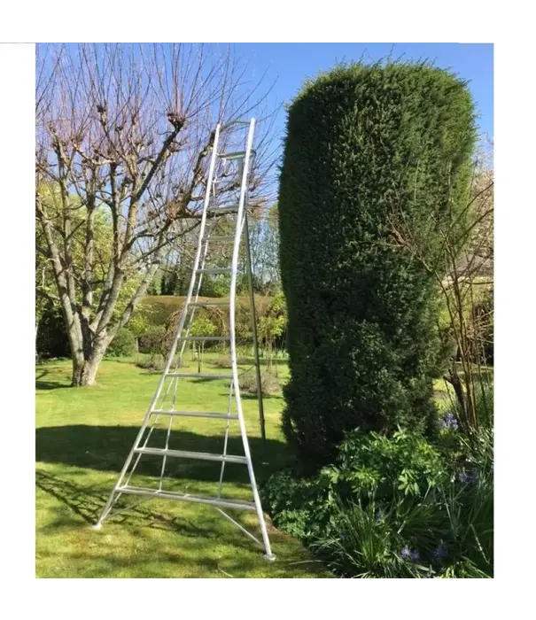 Vultur ladders Vultur échelle de jardin 360 cm avec plate-forme et 1 pied réglable