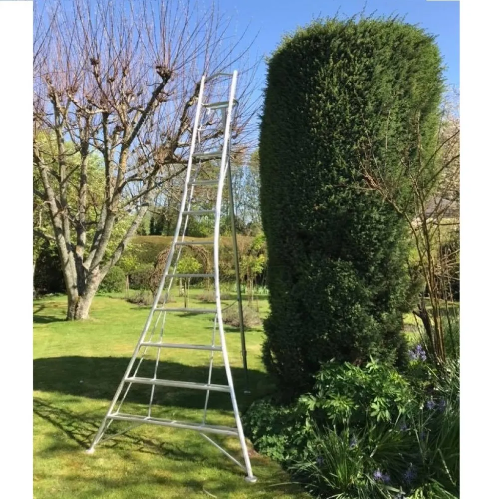 Hendon Vultur échelle de jardin 360 cm avec plate-forme et 1 pied réglable