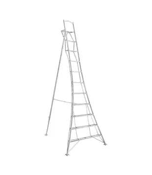 Échelle de jardin Vultur 360 cm avec plate-forme et 1 pied réglable