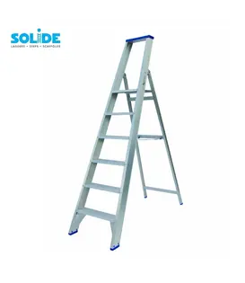 Solide trapladder 6 treden PT6