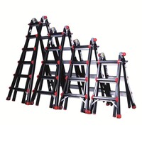 Multifunctionele ladders