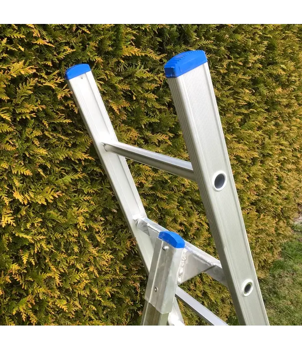 Solide Solide Obstleiter 6 Sprossen - 175 cm