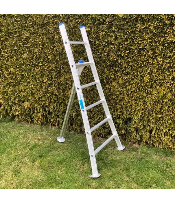 Solide Solide Obstleiter 6 Sprossen - 175 cm