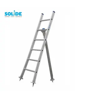 Solide échelle à cueillir 6 échelons - 175 cm