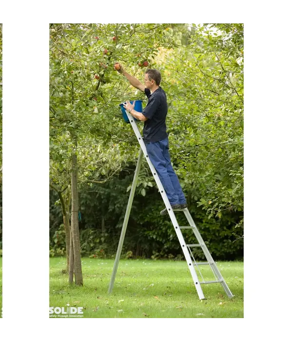 Solide Solide échelle à cueillir 8 échelons - 225 cm